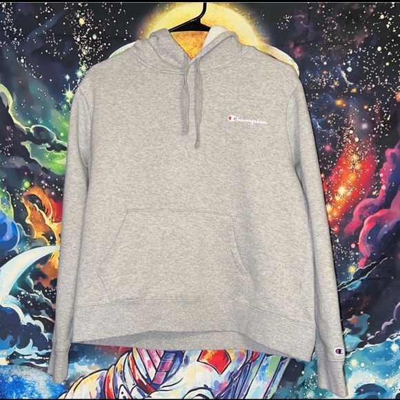 Men’s Medium Champion Hoodie NWOT - Picture 1 of 6